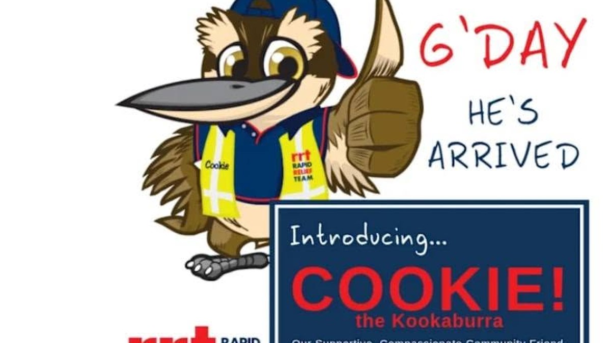 Cookie the Kookaburra — RRT mascot